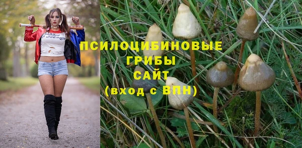 мдпв Нея