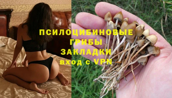 мдпв Нея