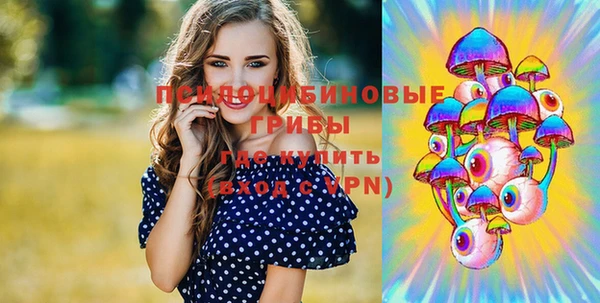 мдпв Нея